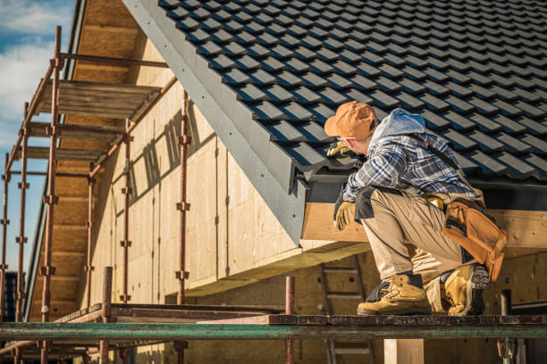 Roof Gutter Cleaning in Williams, AZ